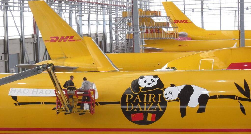 DHL a relocat doi urși panda