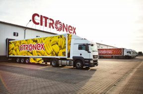 Citronex investeste intr-un depozit de maturare a bananelor in Bucuresti