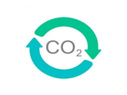 Sustenabilitatea, factor important pentru companiile din industria auto din Germania