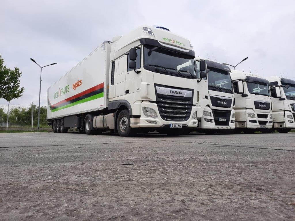 Microfruits – cum faci din distribuţia de legume și fructe un business de succes?