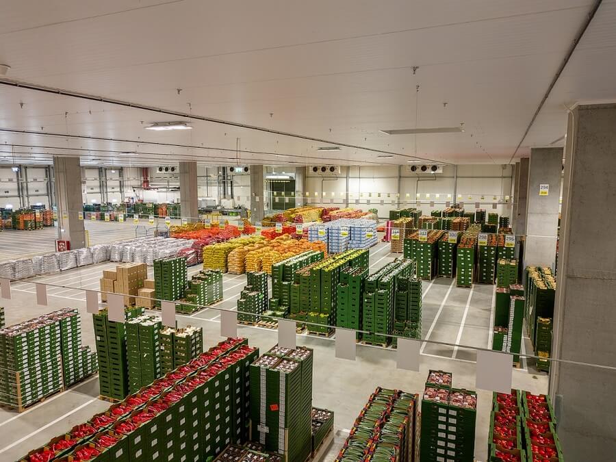 Lidl Romania - reducerea emisiilor din logistica