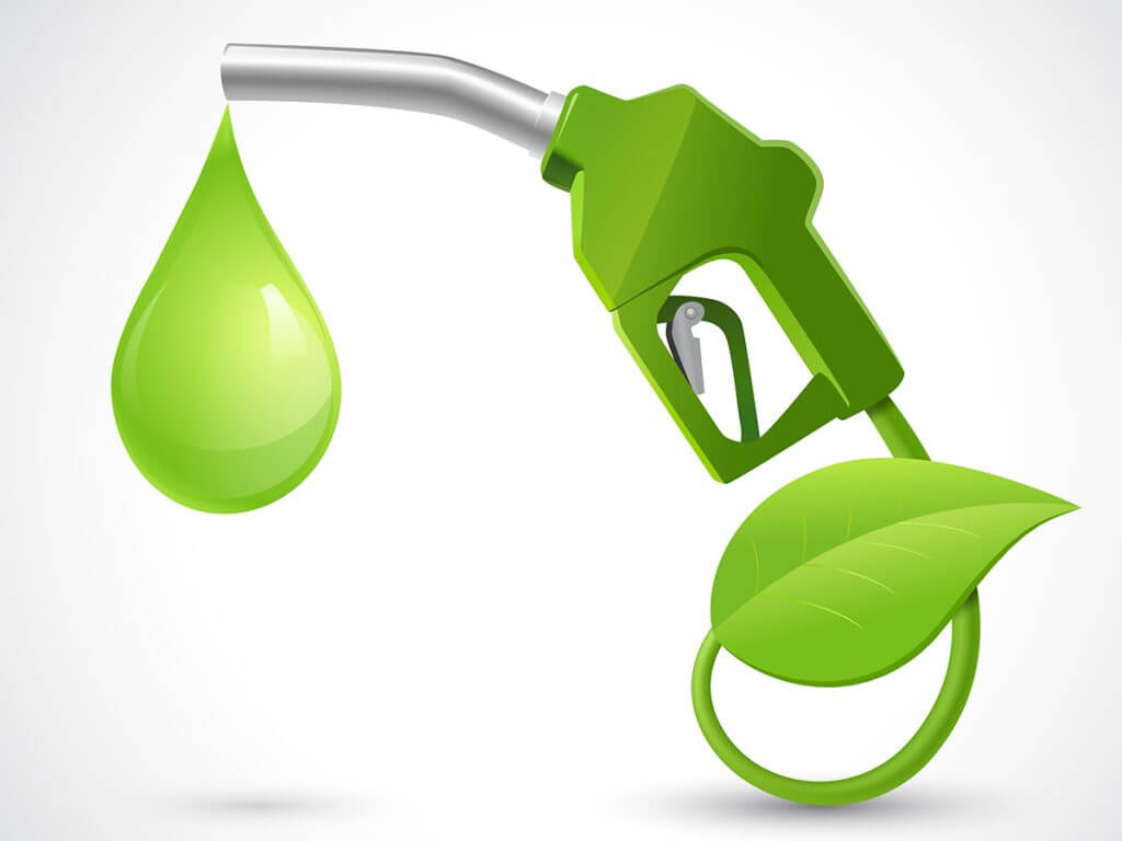OMV investește în biocombustibili. Compania achiziționează o participație de 50% din Respiră Verde
