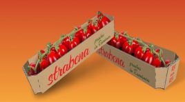 DS Smith și Serele SupeR înlocuiesc 10 milioane de bucăţi de plastic cu ambalaje din carton